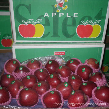 Exporting Standard Packing Fresh Red Apple, Huaniu Apple